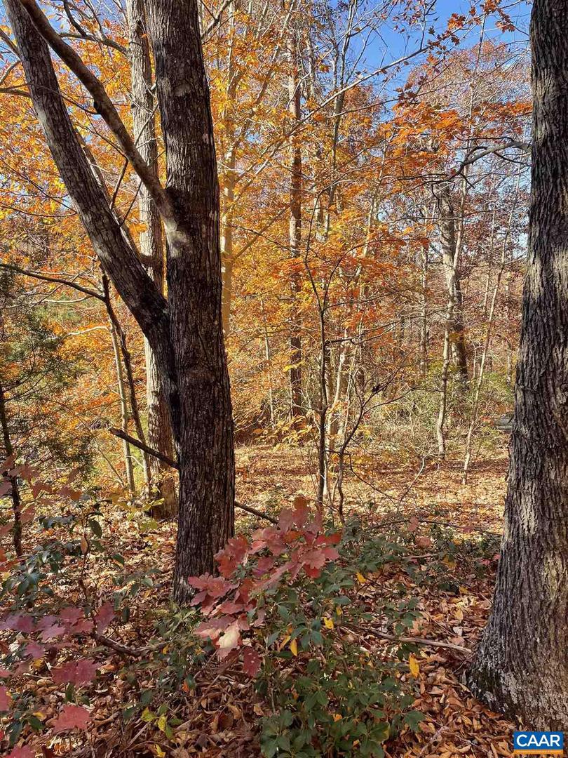 19 CHICKASAW PL PALMYRA,VA 22963 Virginia Estates