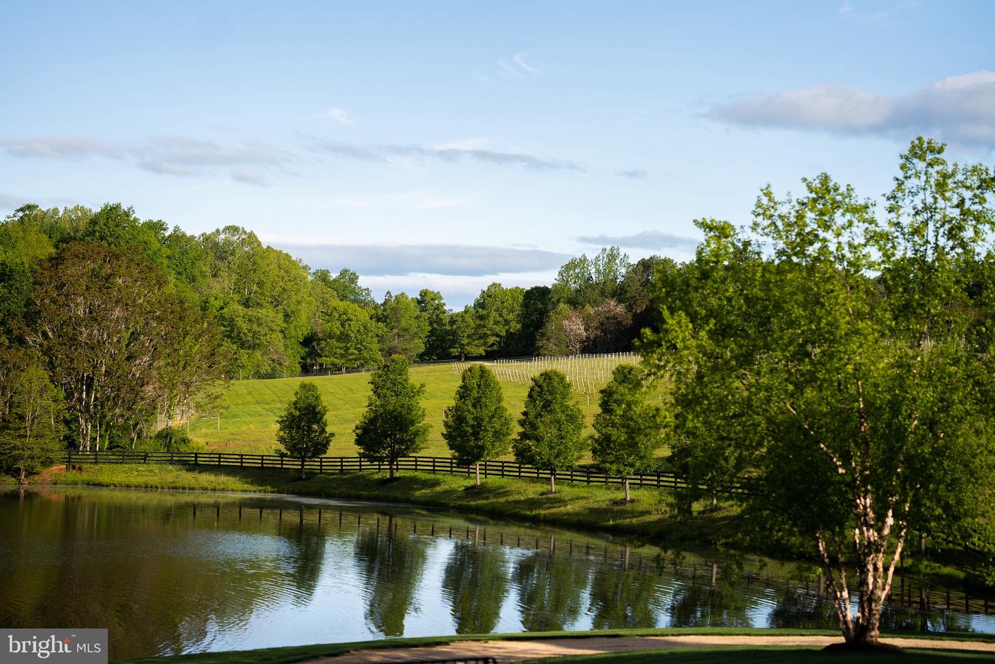 510 MOUNT PLEASANT FARM ROAD SCOTTSVILLE,VA 24590 Virginia Estates