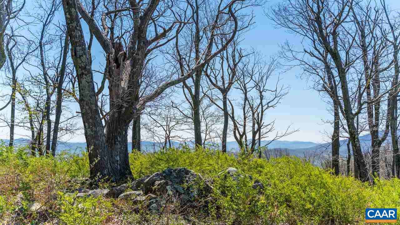 LOT 5 ELK MEADOW DR AFTON,VA 22920 Virginia Estates