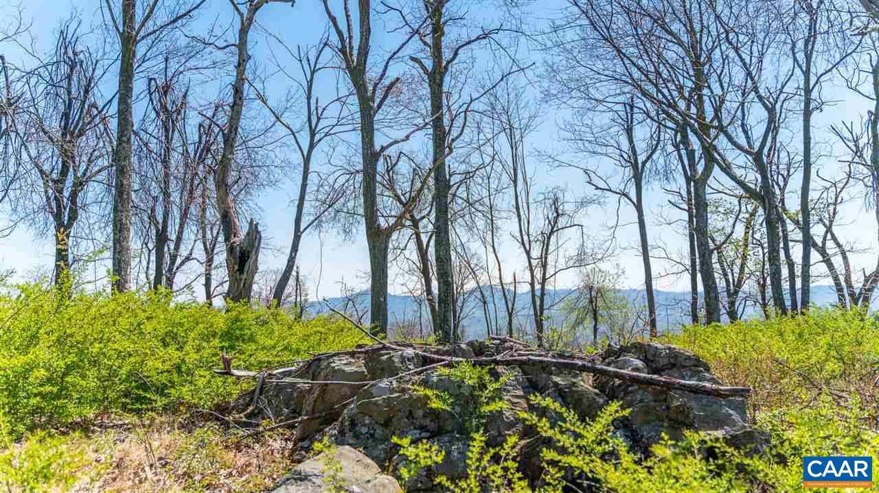 LOT 5 ELK MEADOW DR AFTON,VA 22920 Virginia Estates