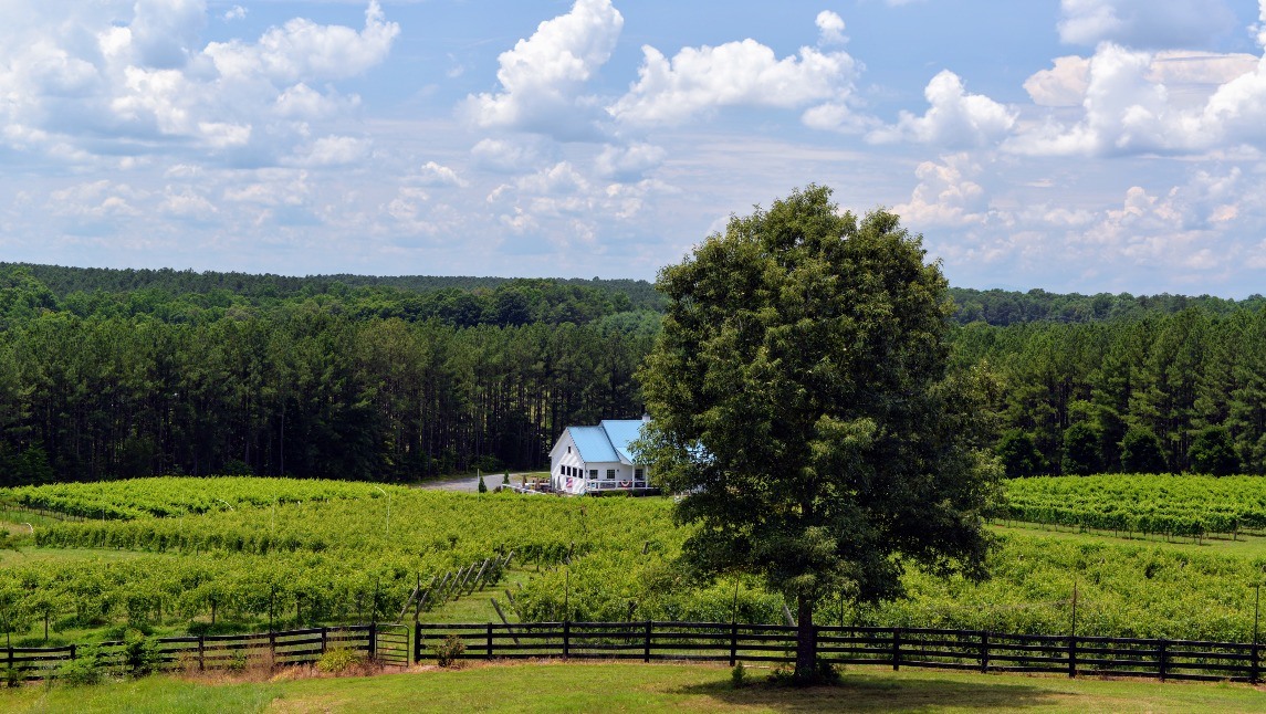 Virginia Estates Virginia's Premier Real Estate Agency