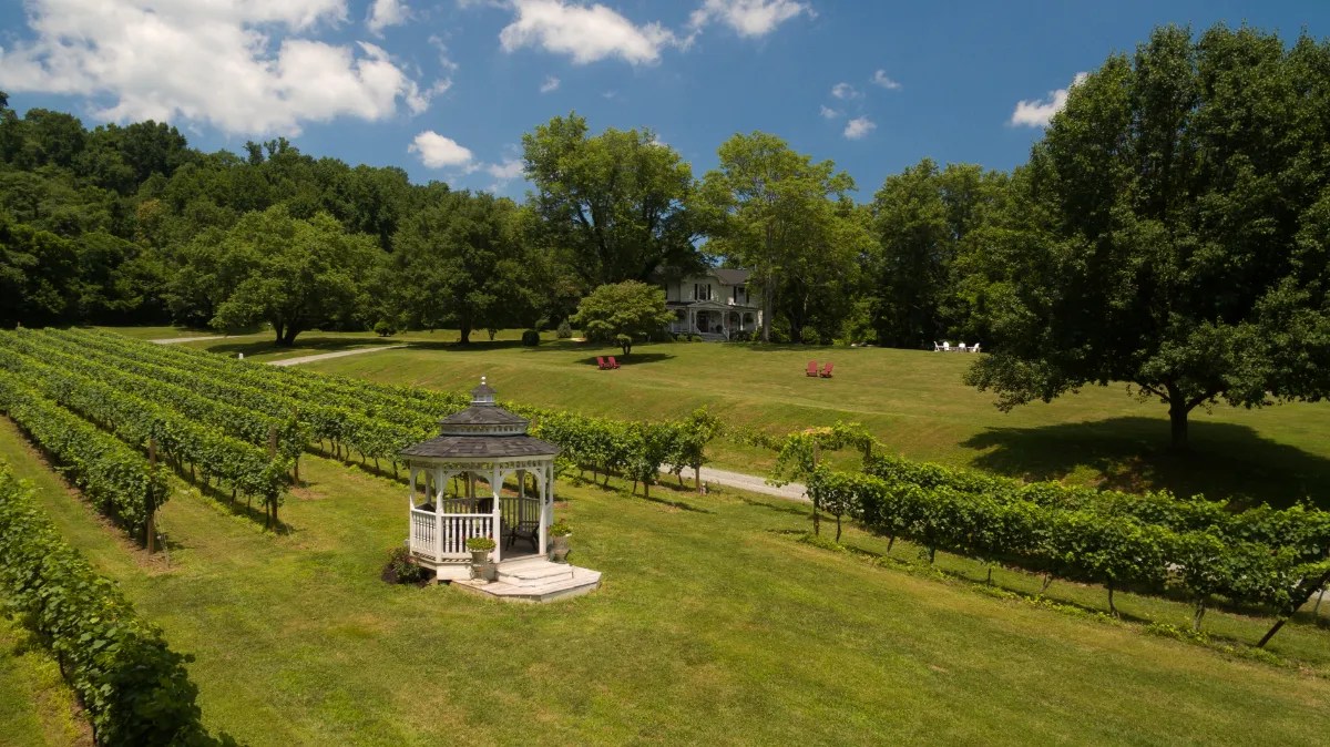 Orchard House B&B 🚜 Virginia Farms for Sale