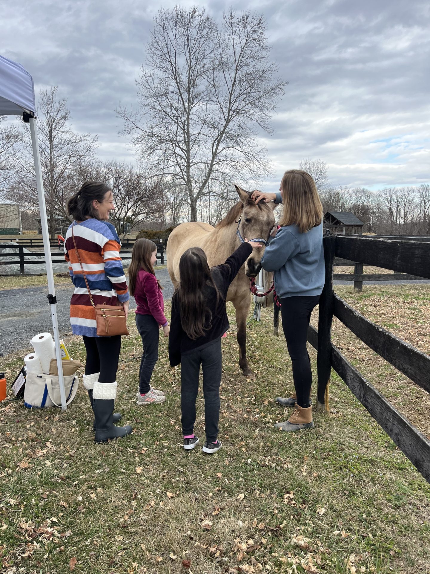 Feb 20, 2023 Mini Teacup Garden with Mini Horses