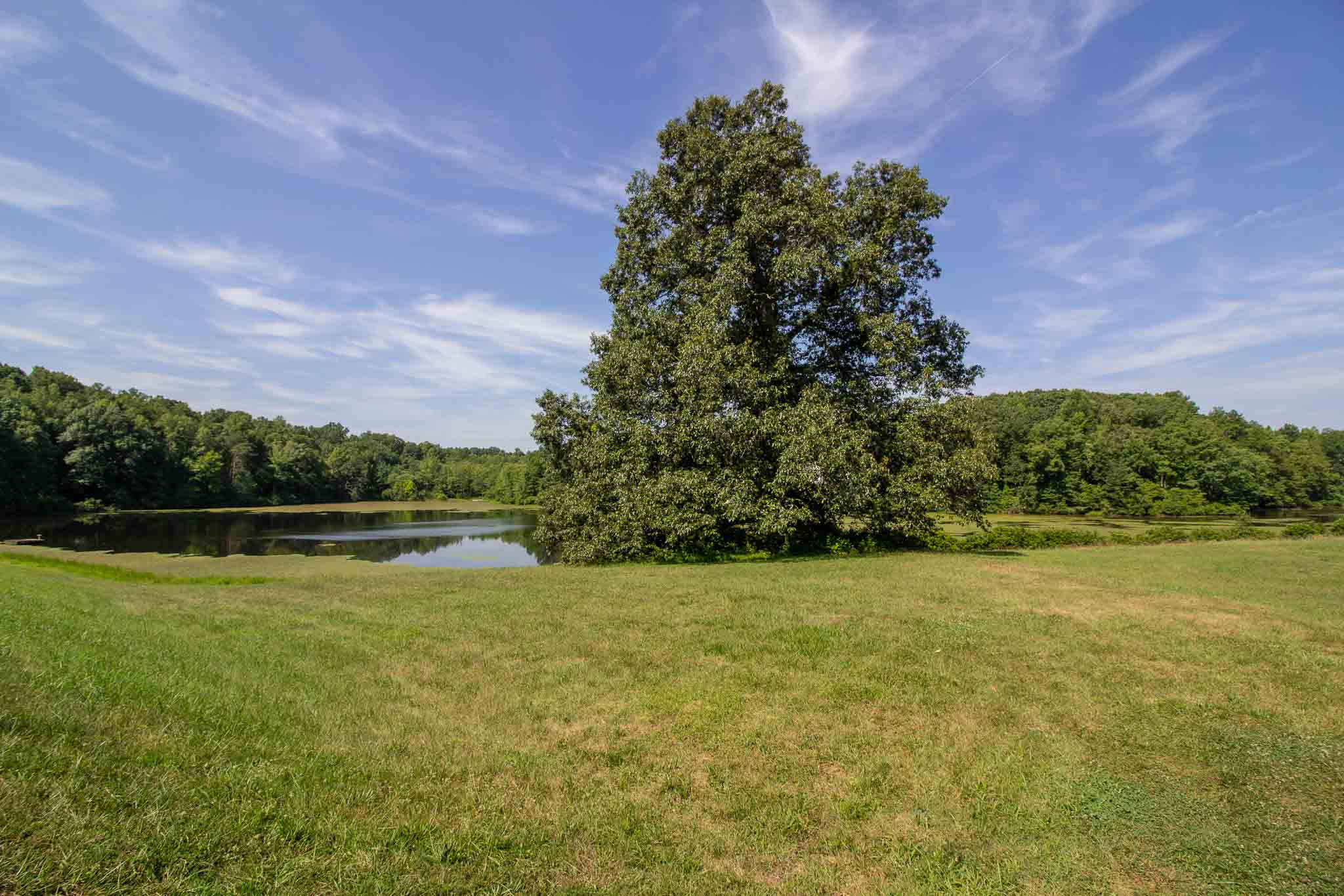 Waterfront Acreage for Sale at the Beautiful Stockton Lake in Pamplin, VA