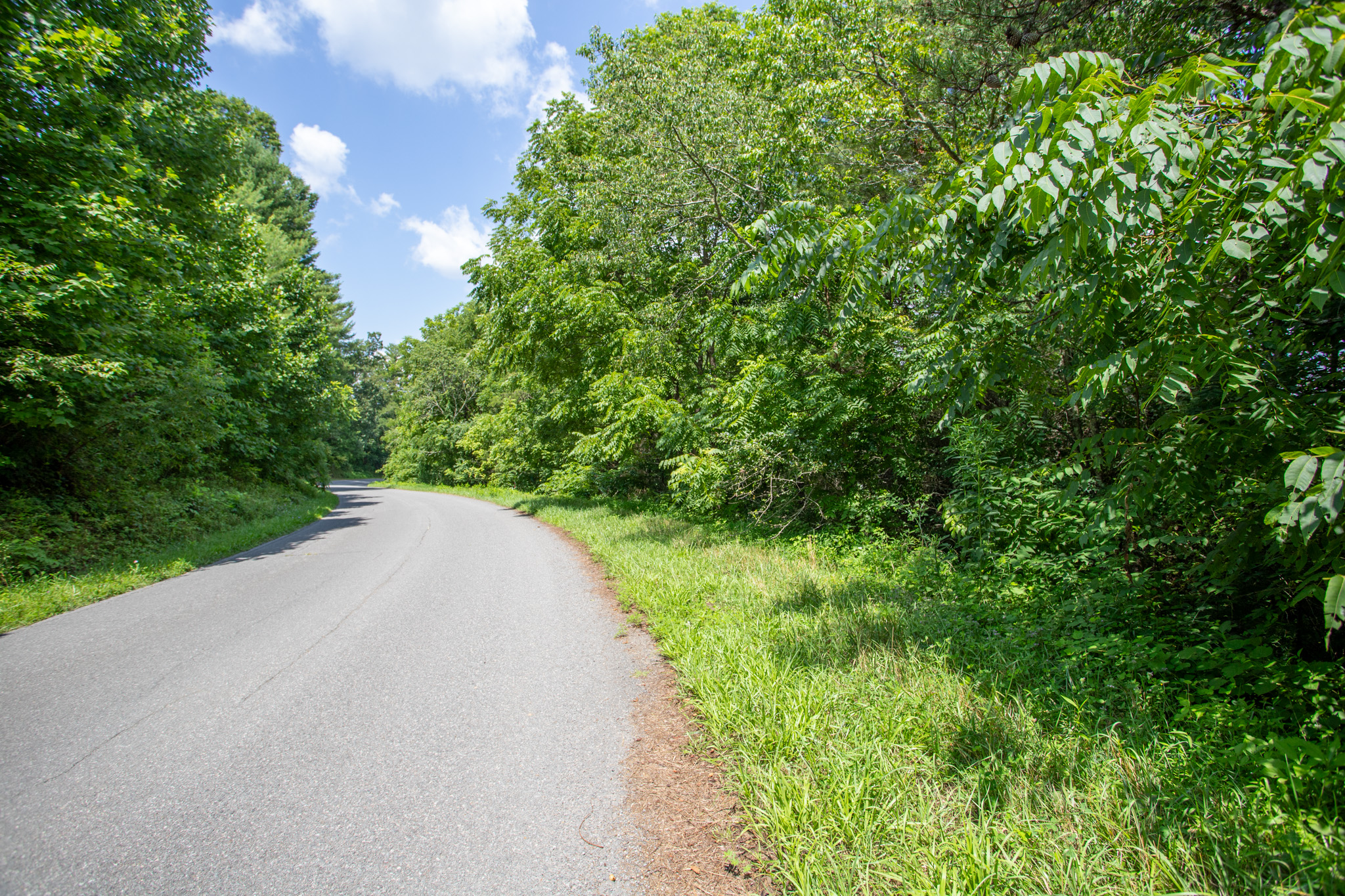 Beautiful Wooded Acreage in Carroll County! Hunters Ridge Lot 1