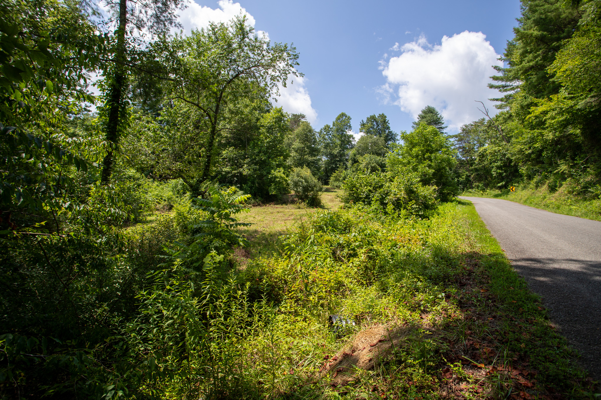 Beautiful Wooded Acreage in Carroll County! Hunters Ridge Lot 1