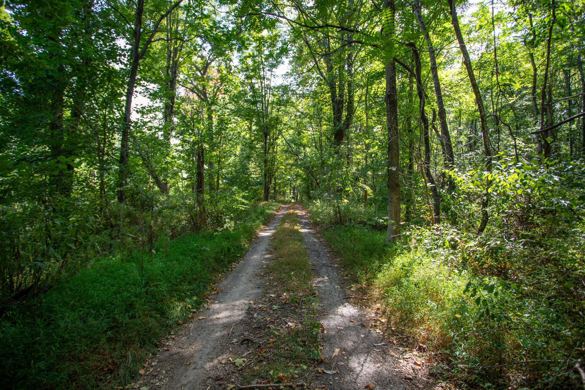 10Acre Property in Rappahannock County! Jackson Lane Scrabble
