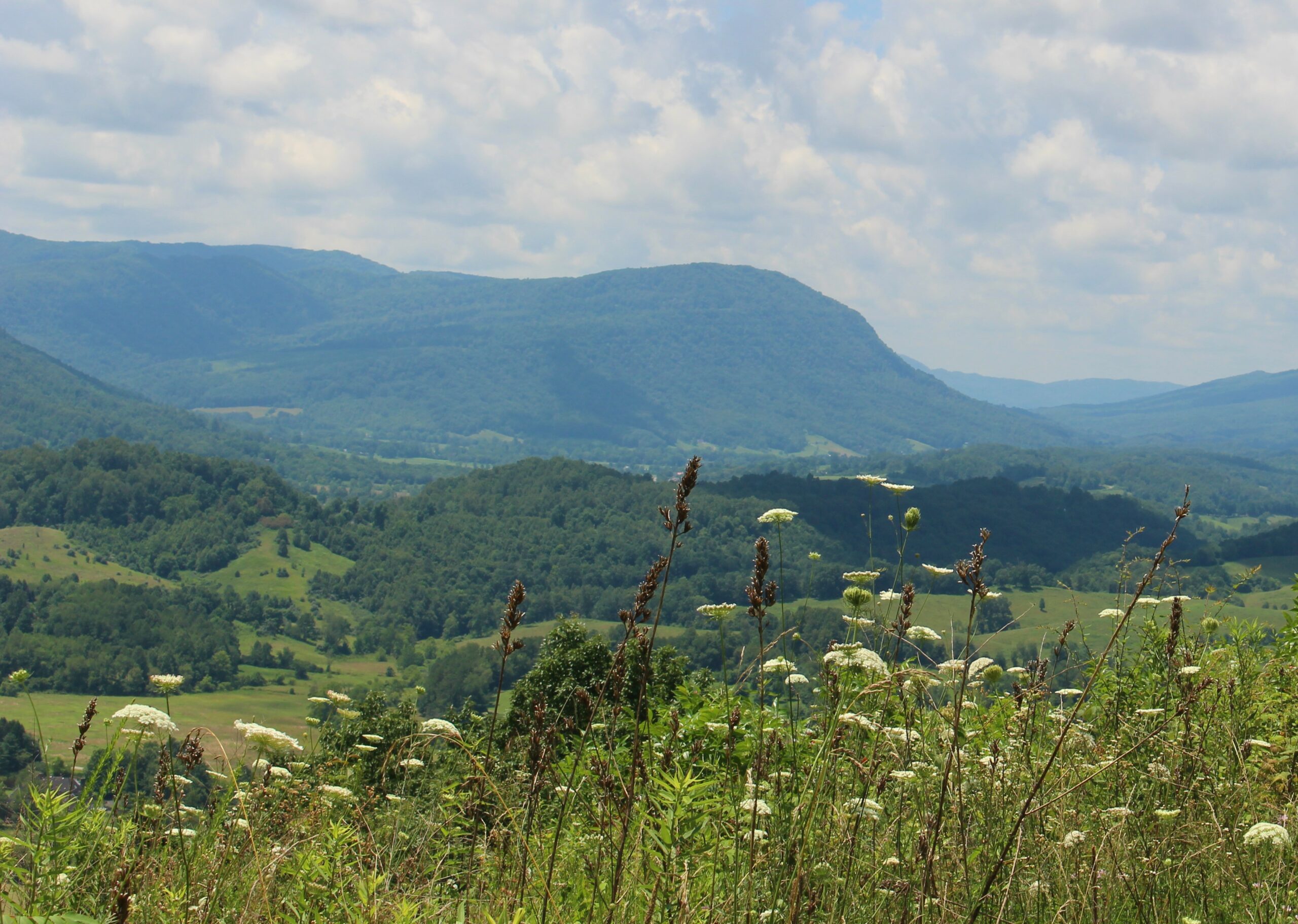 Va.'s reliance on tax credits for land conservation is 'certainly not