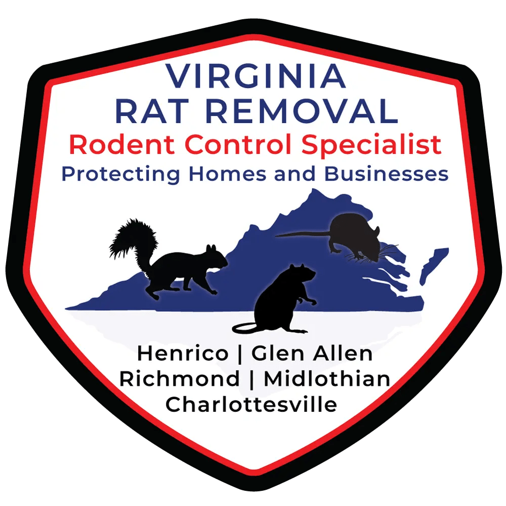 Contact Virginia Rat Removal, Rodent Control & Extermination