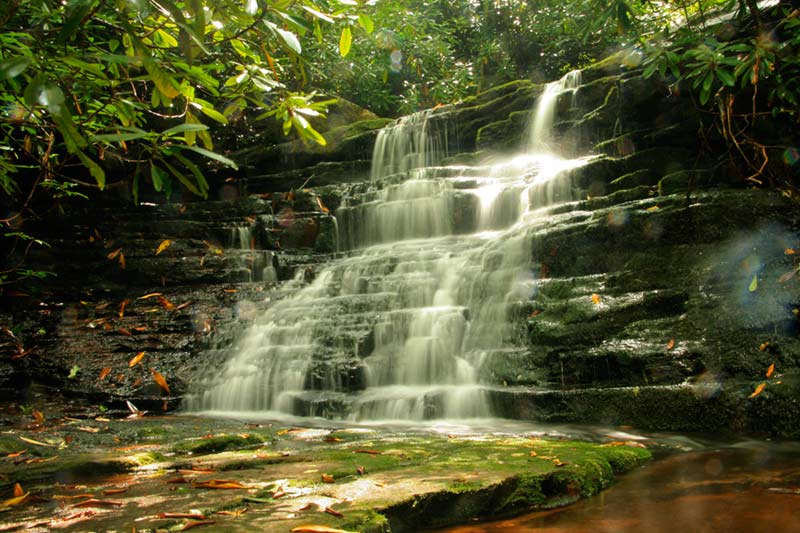 Narrows Day Trip Virginia's Mountain Playground™