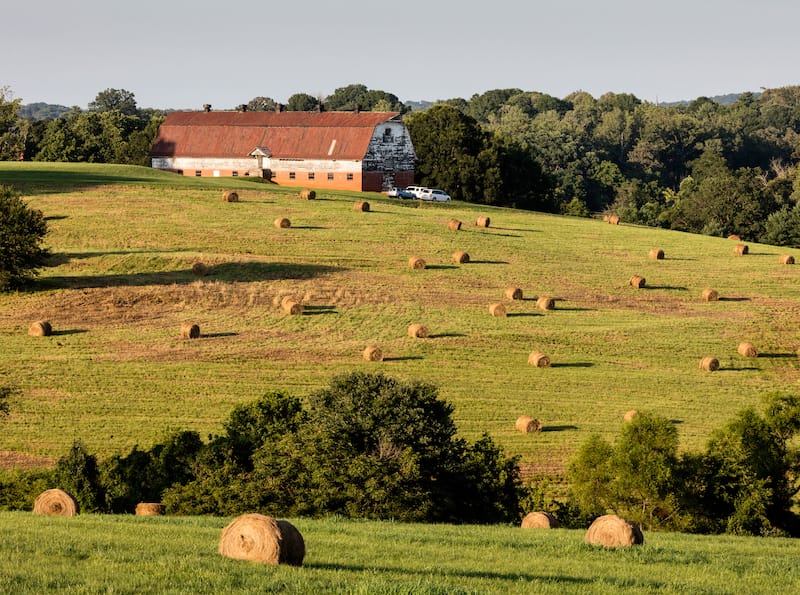 20 Best Small Towns in North Carolina for a Weekend Getaway