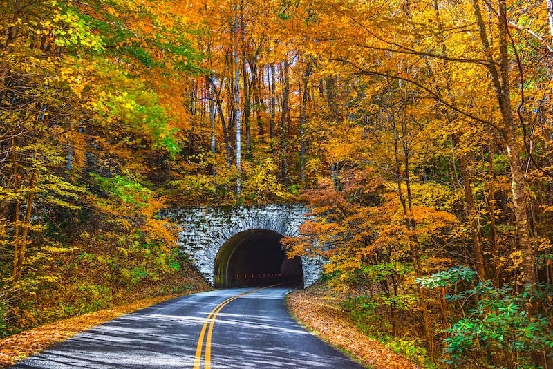 27 Best Things to Do in Asheville, NC (+ Nearby Attractions!)