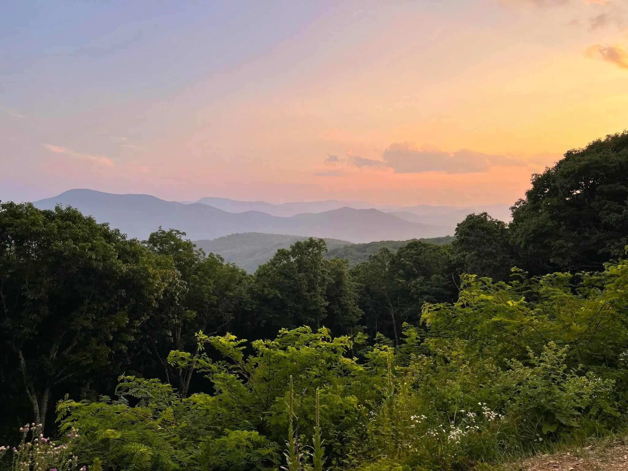 8 Great PetFriendly Cabins in the Virginia Mountains Virginia
