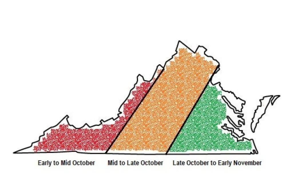 Best Time to See Fall Colors in Virginia & Where to Go Virginia