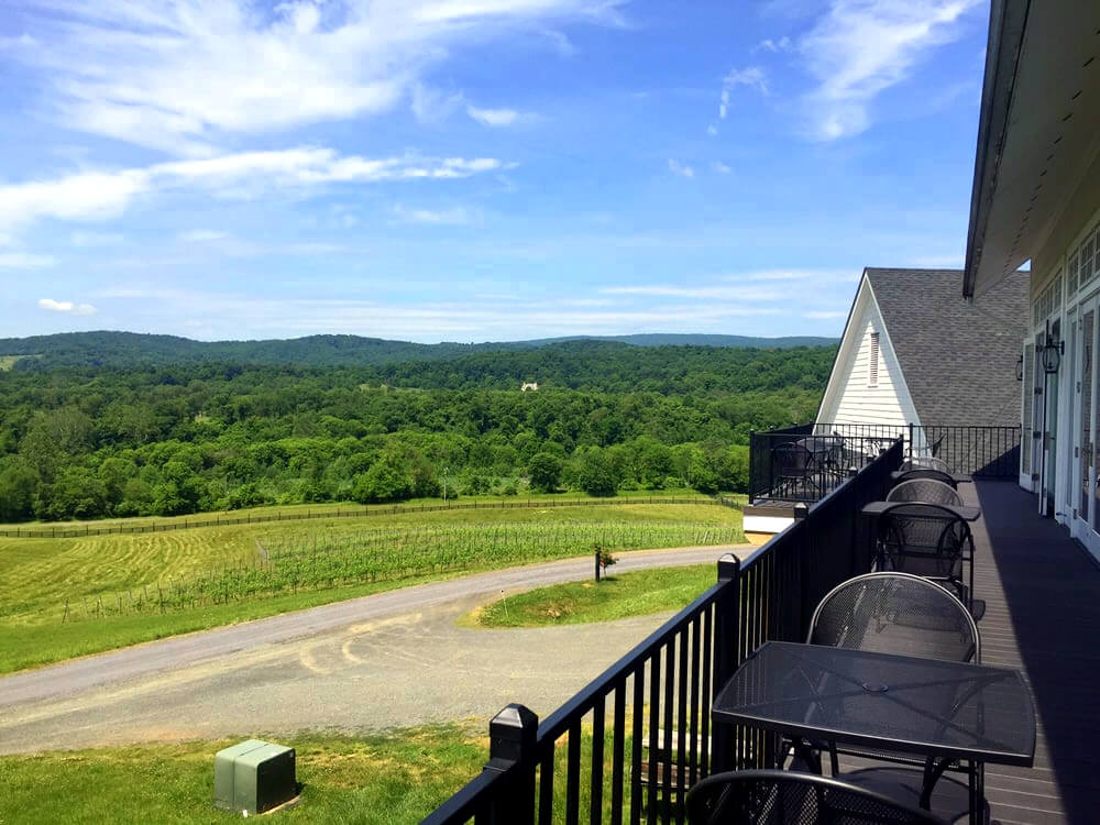 Delaplane Cellars Virginia Wineries for Sale