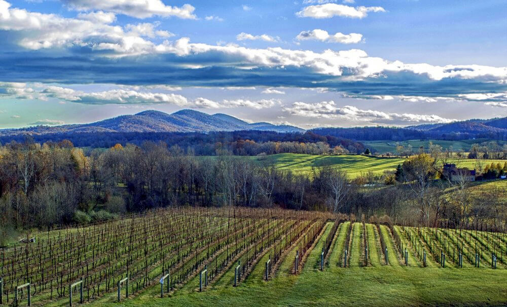 Delaplane Cellars Virginia Wineries for Sale
