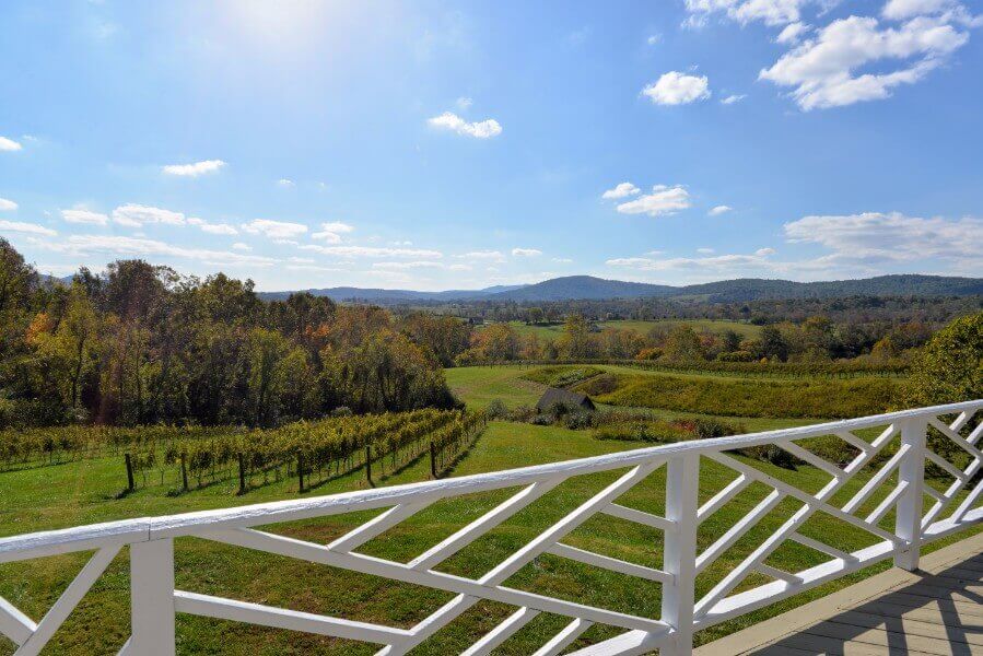Delaplane Cellars Virginia Wineries for Sale