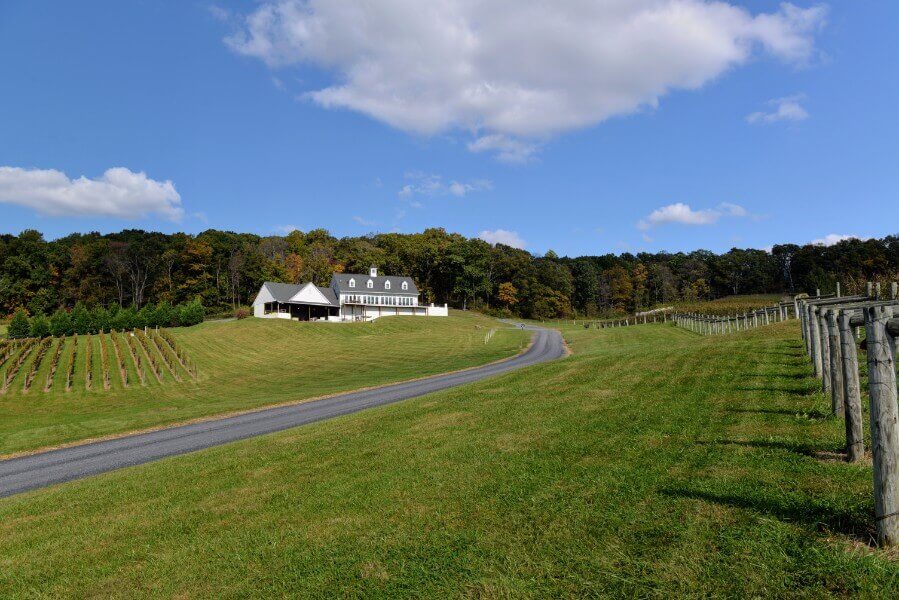 Delaplane Cellars Virginia Wineries for Sale
