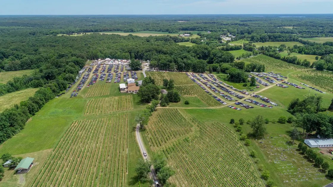 Lake Anna Winery Virginia Wineries for Sale
