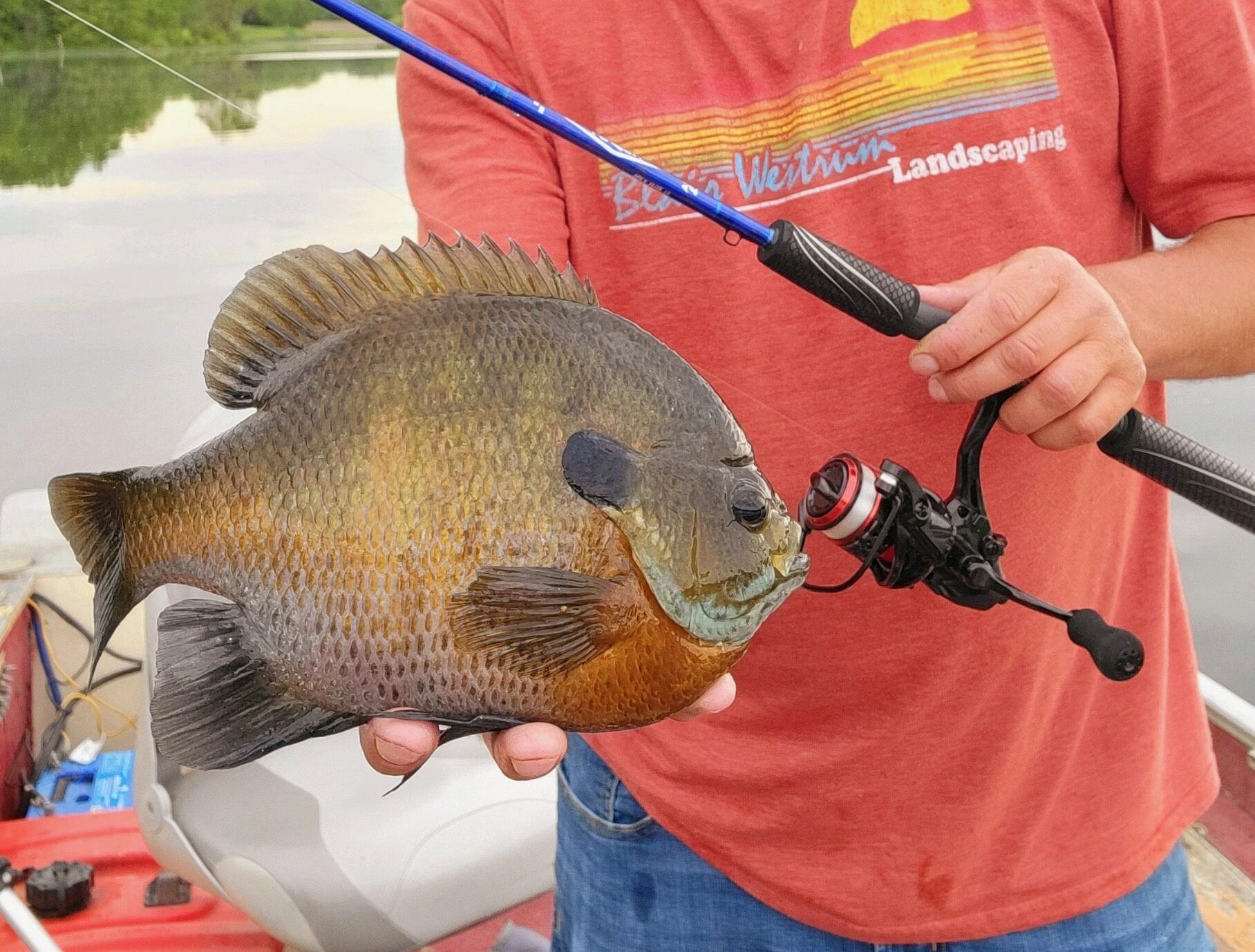 3 Key Tactics for Trophy Bluegill Virtual Angling