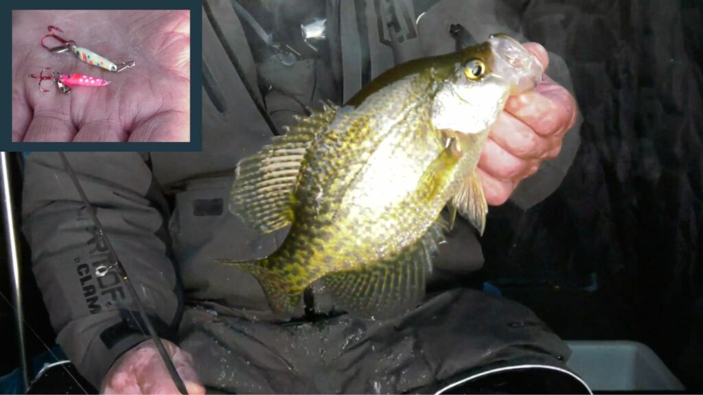 Crappie Fishing Catch More Fish with the Clam Pinhead Pro Virtual Angling