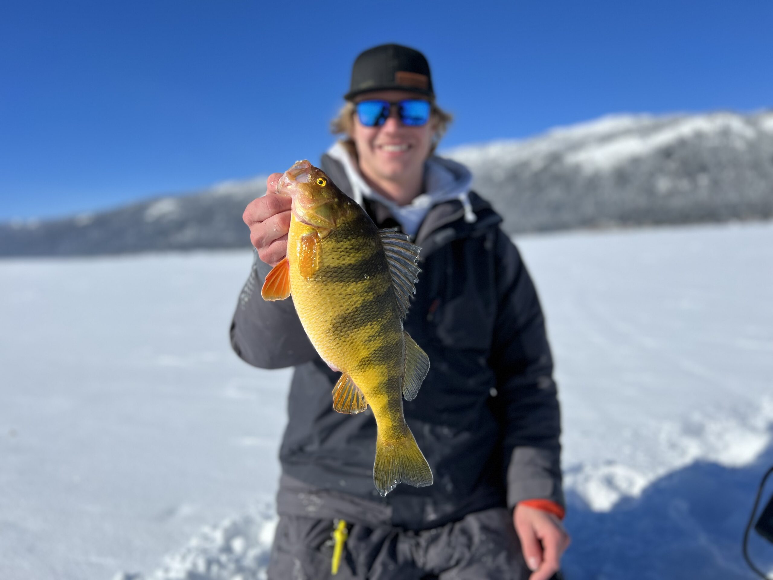 Lake Cascade, ID (February 25th, 2023) Virtual Angling
