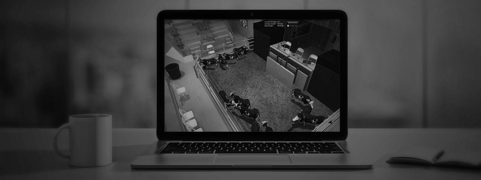 Virtual Auction Practice Your Auction Chant Virtual Auction