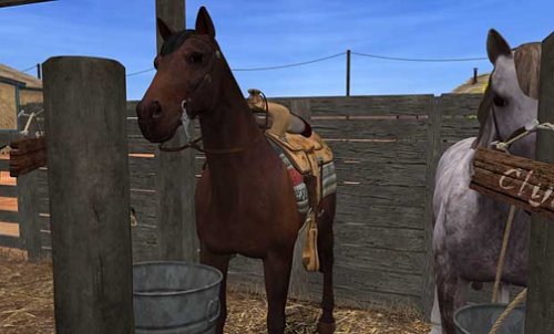 Nancy Drew Secret of Shadow Ranch Horse Game Adventure Game for