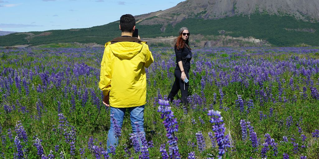 A Comprehensive Guide on How to Check GitLab Version