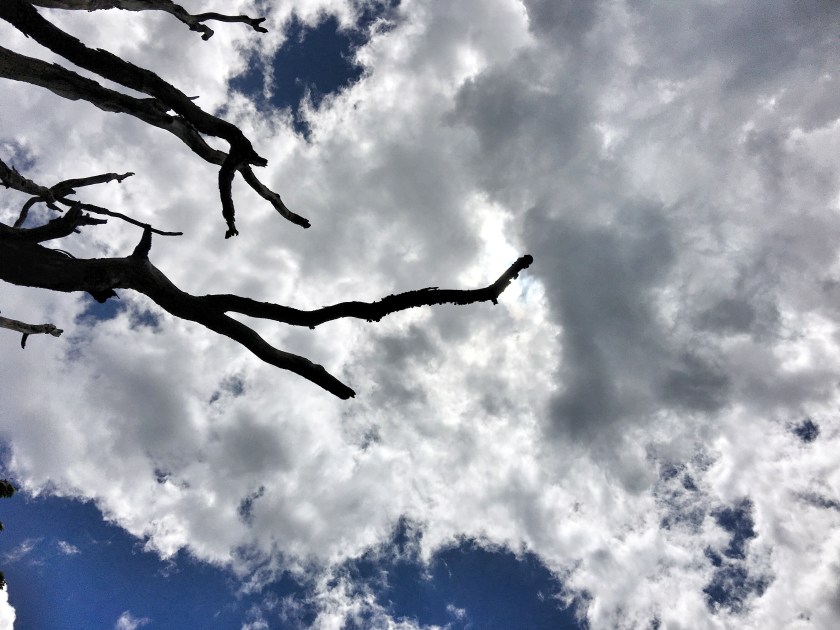 When instructors and students despise one another The Virtual Pedagogue