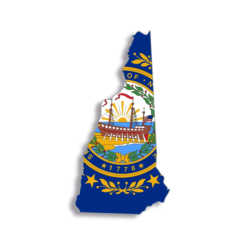 Professional Virtual Assistants in New Hampshire Virtual Worker Bee