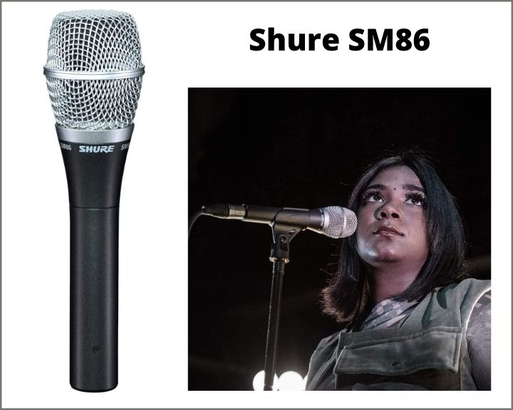 Best Live Condenser Vocal Mic Virtuoso Central