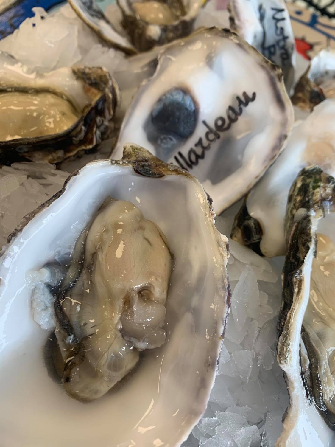 PASQUALINO MASSA, L'OSTRICARO PIÙ FAMOSO D'ABRUZZO RACCONTA LA REGINA