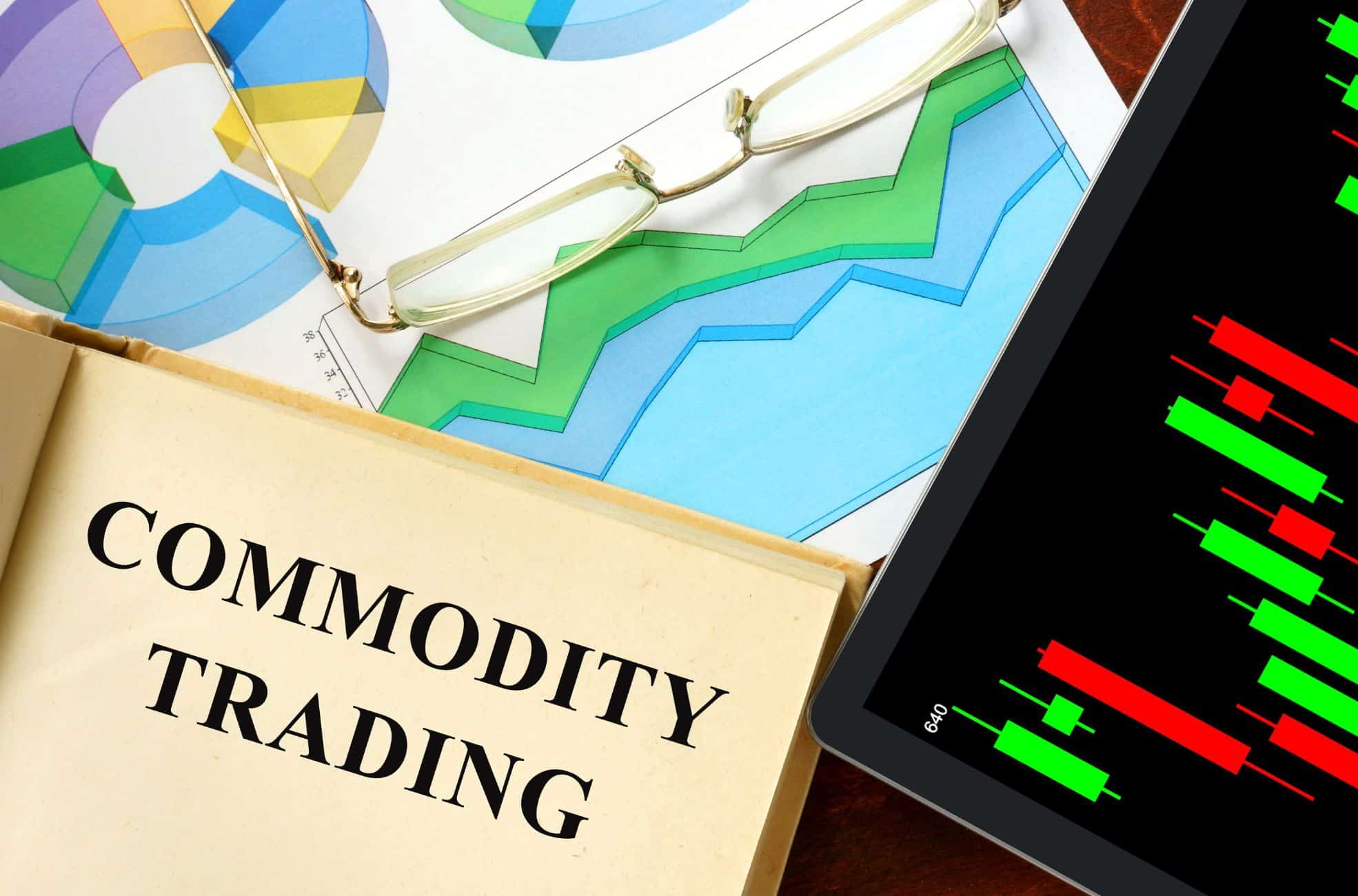A Guide on Trading Commodities in the UAE Virtuzone