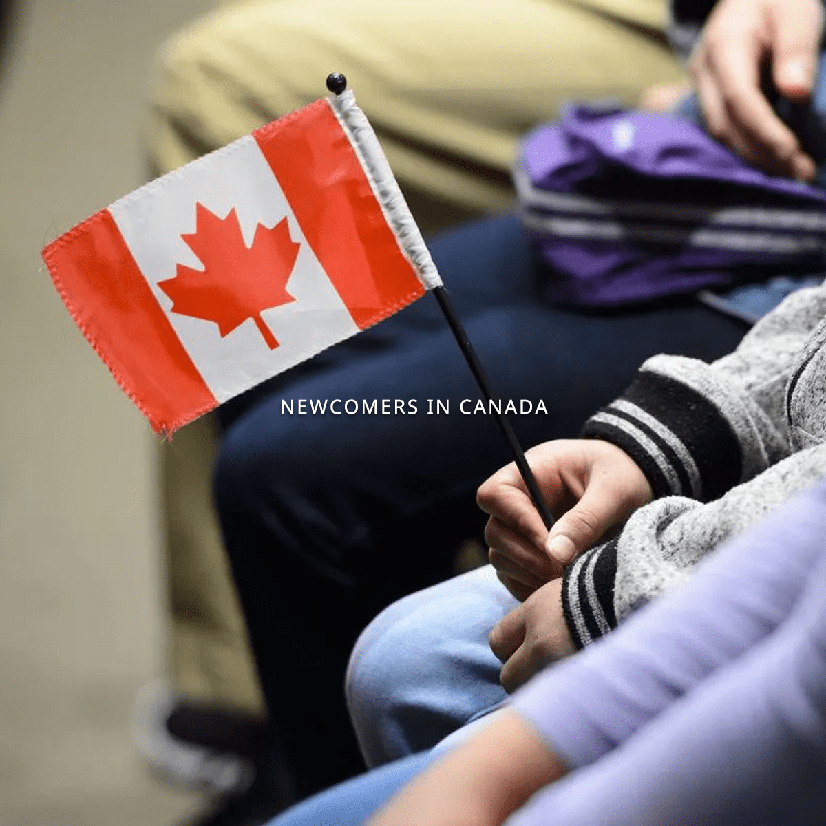 in Canada Comprehensive Guide Visaca