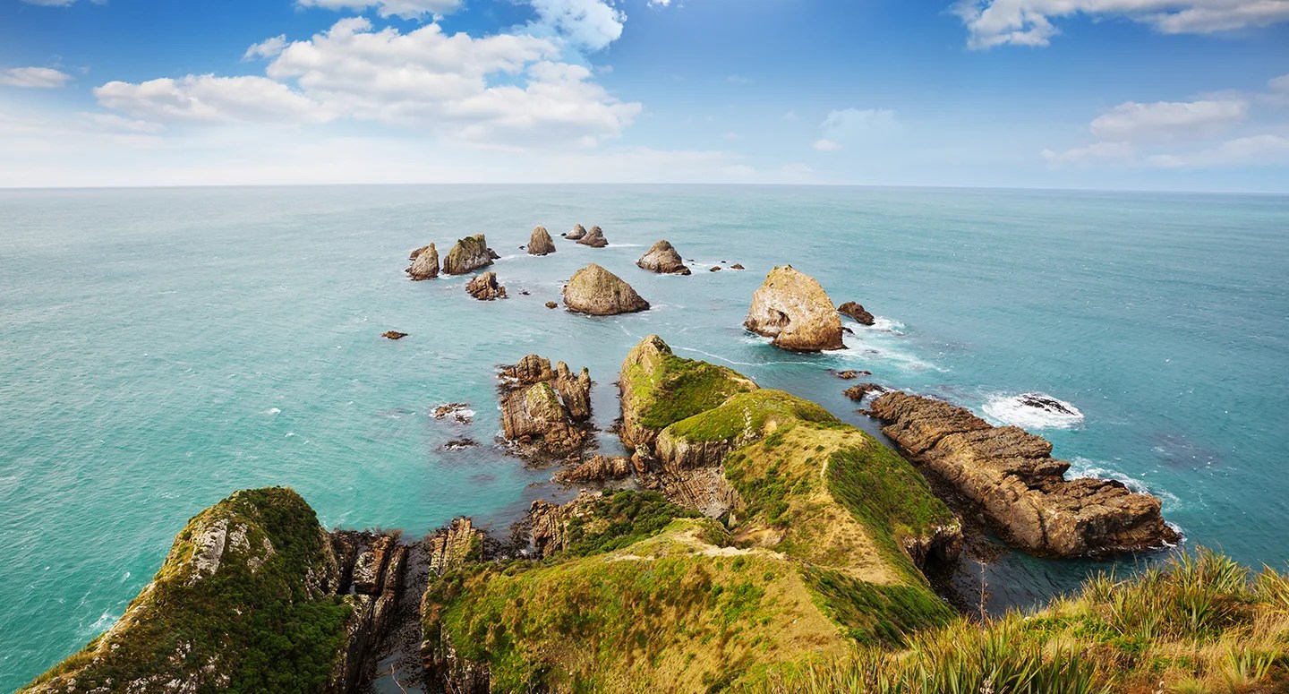 New Zealand eTA Application Form Apply for Electronic Visa Online