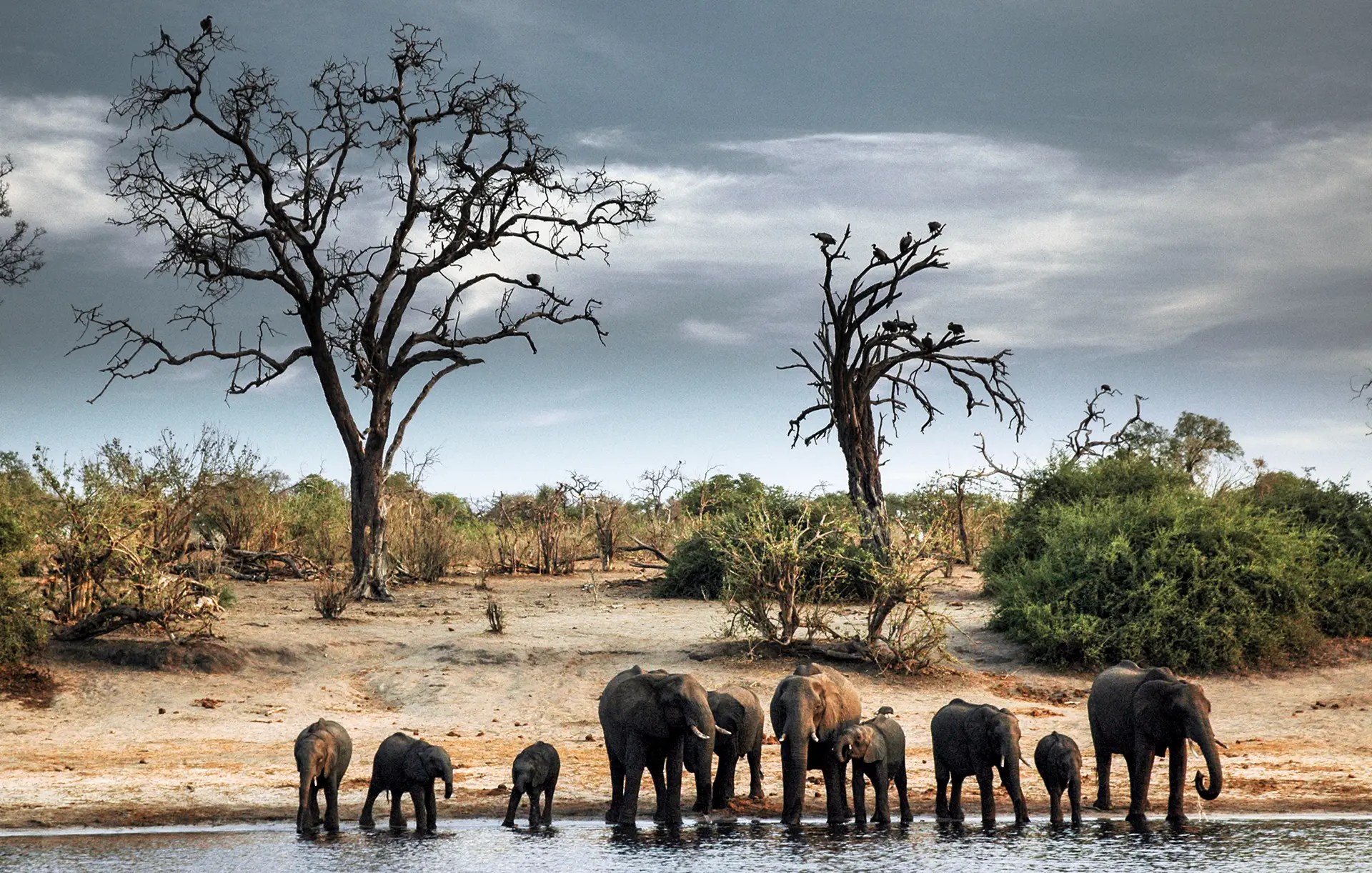 Botswana Passport Visa Free Countries List 2024