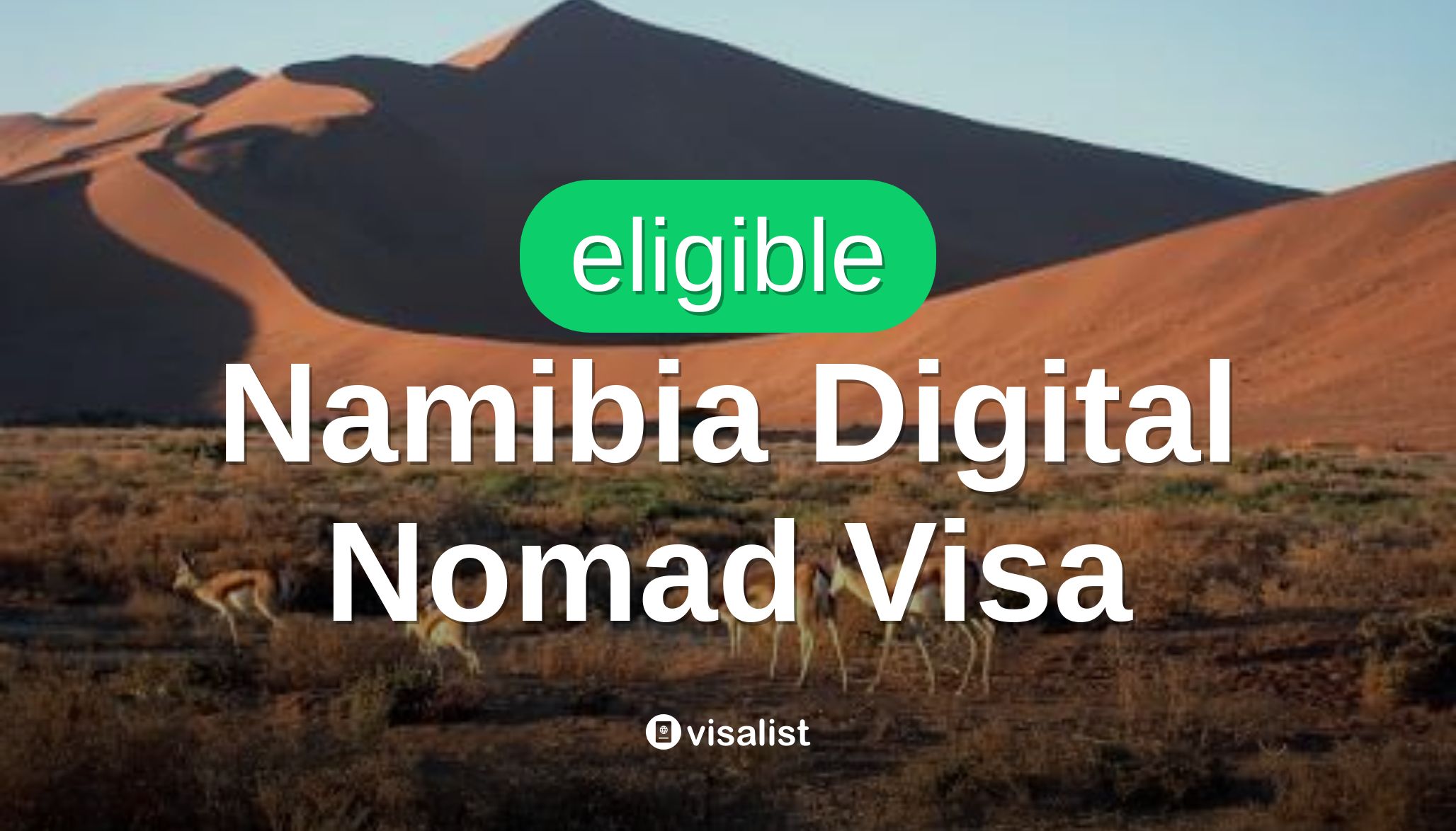 Namibia Visa de nómada digital para Montenegro los ciudadanos 2024