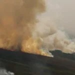 Dino homologa parcialmente plano anti-incêndios na Amazônia e Pantanal