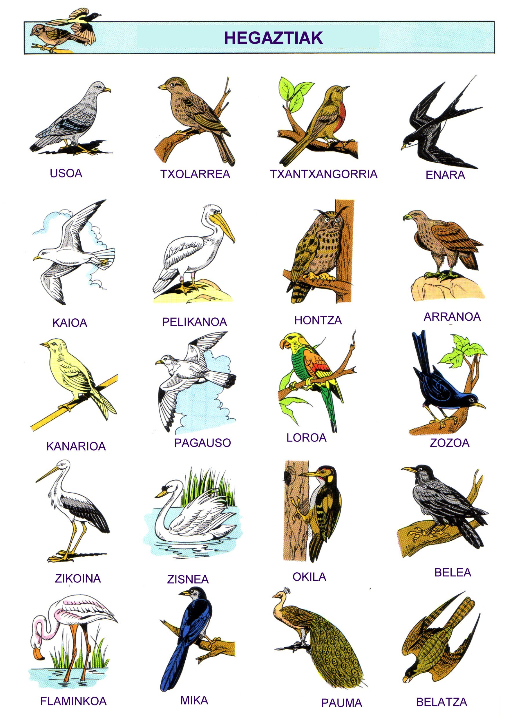 Top 143 + Aerial animals chart with names