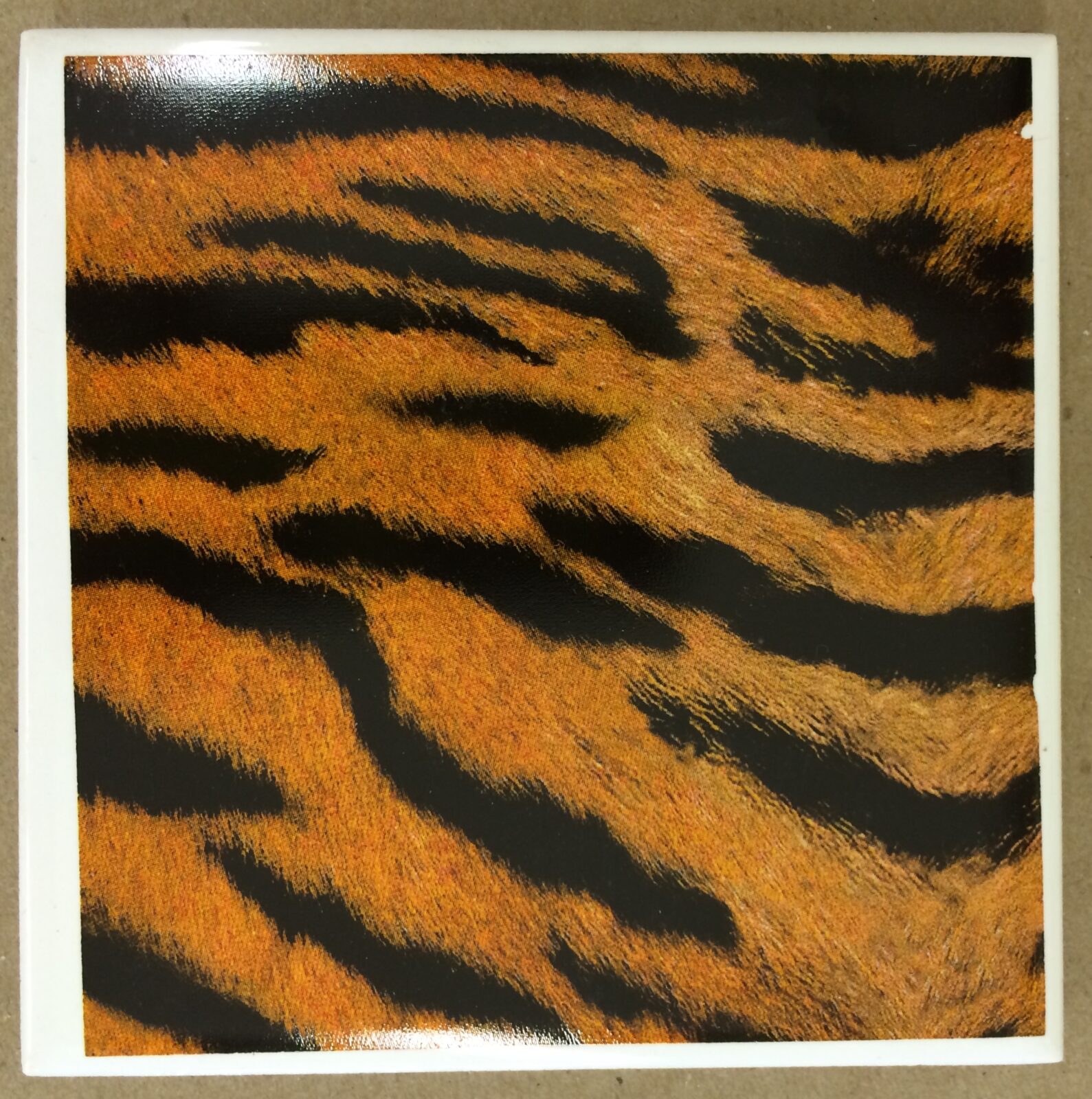 Tiger Print Tile VA297 Visionary Artware Gallery and Studio