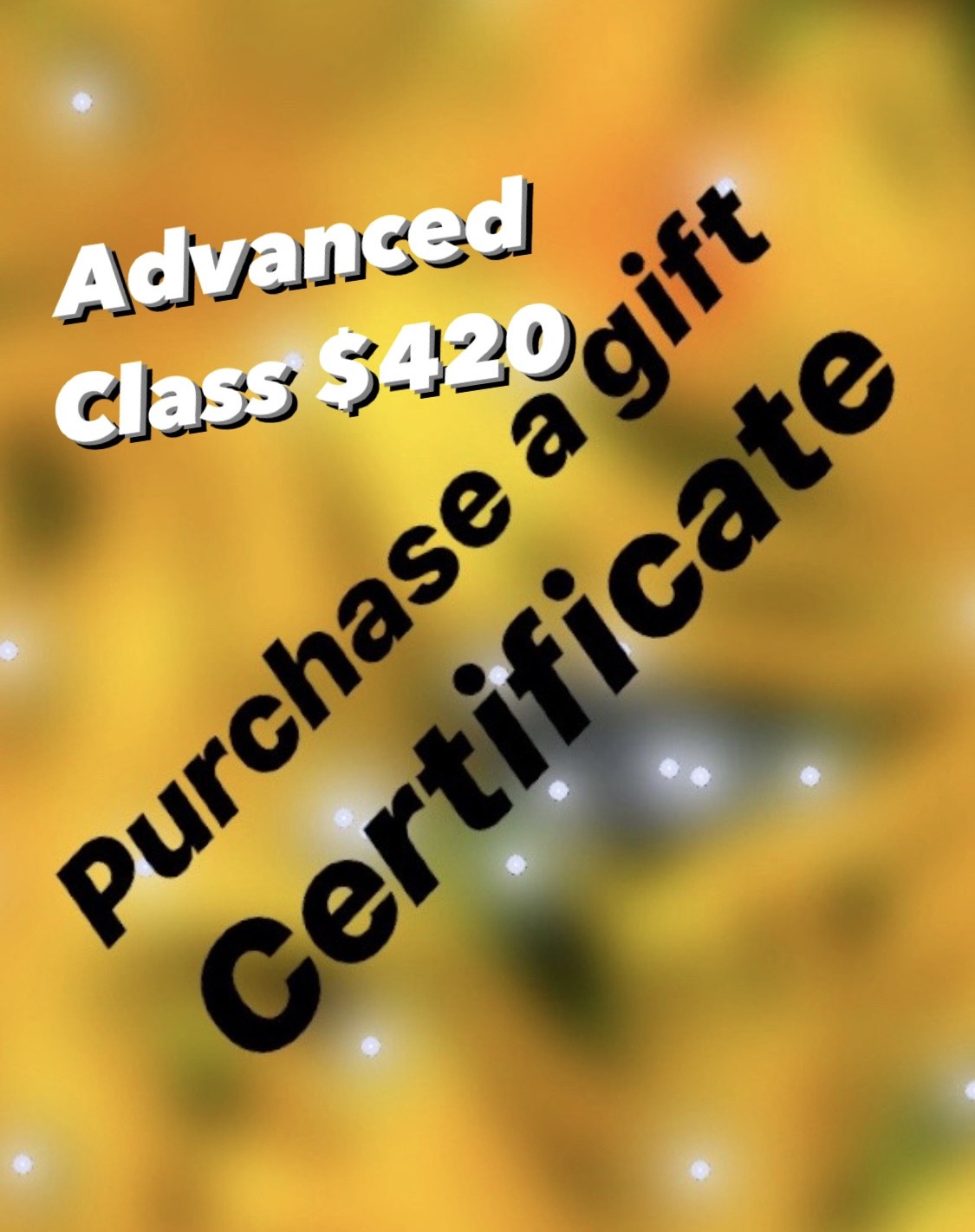 Advanced ClassGift Certificate Visionary Artware Gallery and Studio