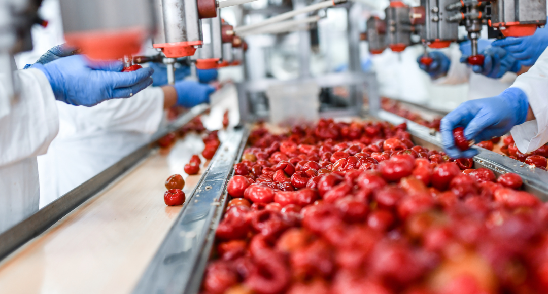 Defect Detection in Food Processing VisionBot