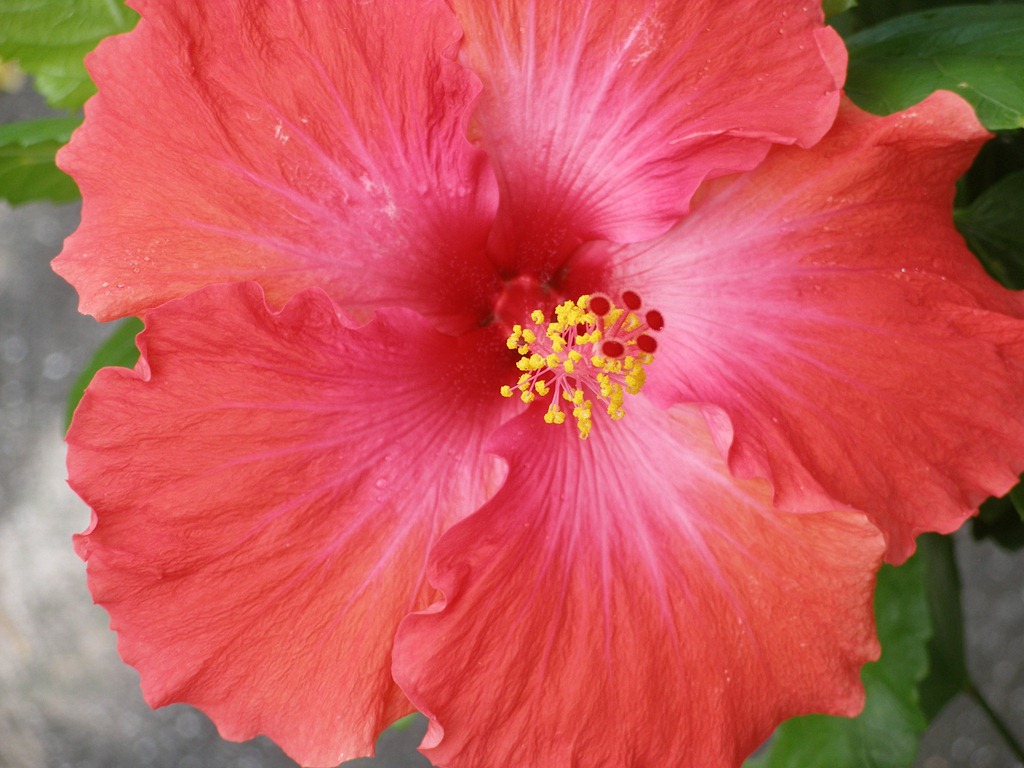 Arrived Safely! Vision for Vanuatu