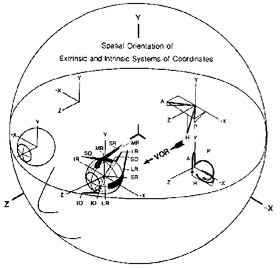 Visual Centers of Gravity The VisionHelp Blog