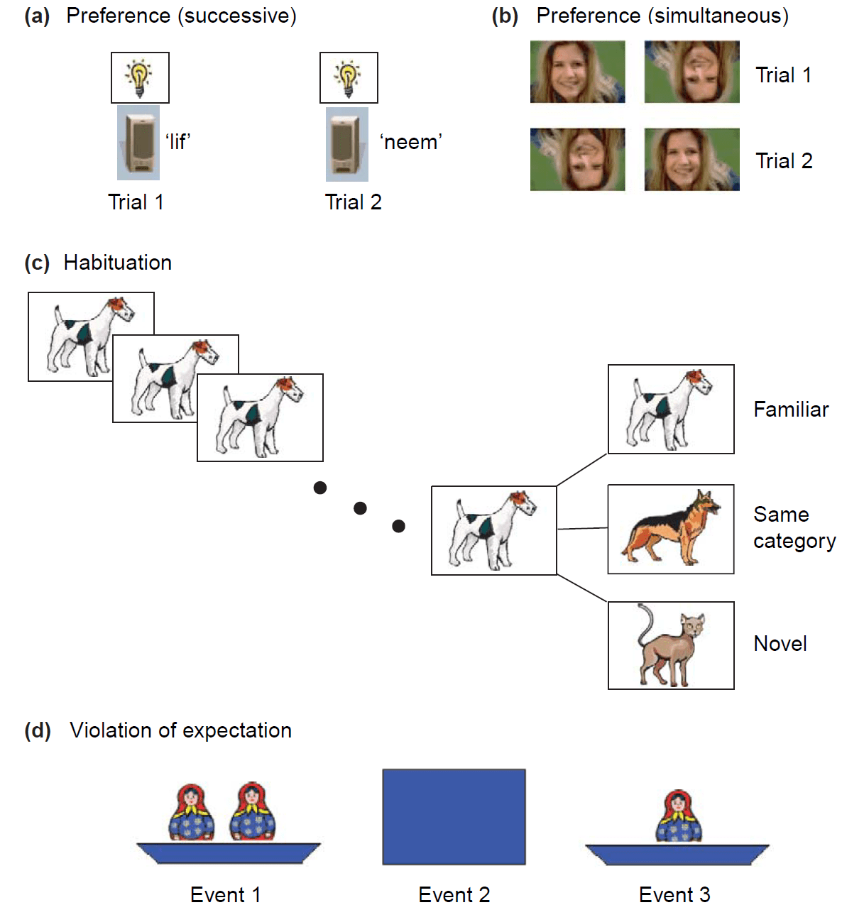 Aslin RN. &amp; Fiser J. (2005) Methodological challenges for 
