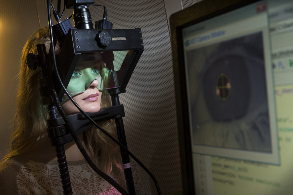 Icelandic Vision Lab