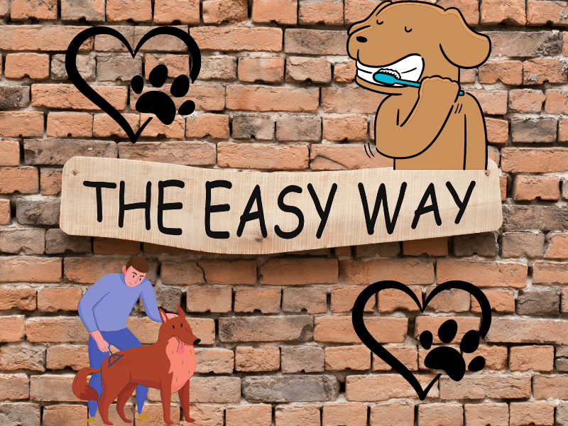 Brushing Your Dog the Easy Way