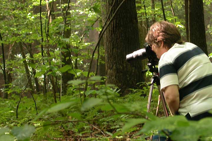 Maryland Nature Photography near West Virginia, Pittsburgh