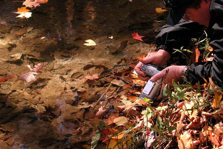 Maryland Nature Photography near West Virginia, Pittsburgh